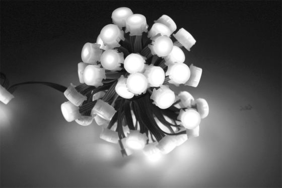 0.3W RGB 20mm Waterproof LED Point Light DC5V 12V SMD5050 IP67