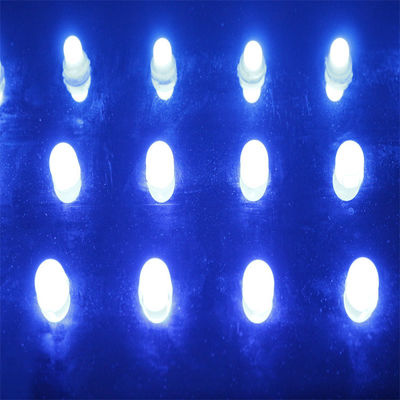12mm Pixel LED Light Christmas Decoration Point Lights Waterproof IP68 12V Outdoor RGB Full Color