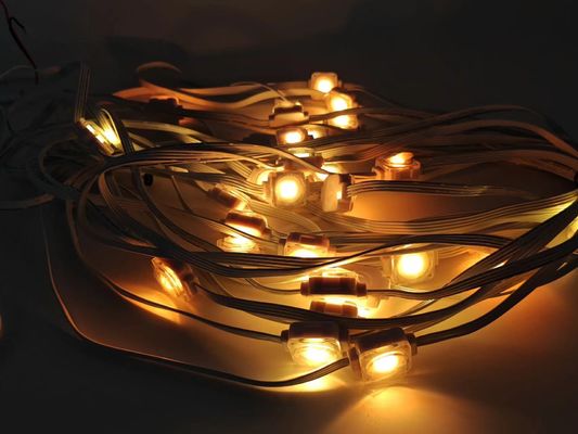 IP67 Waterproof DC12V 1.5W LED Eave Lights for Outdoor Decoration with Colorful RGB Illumination