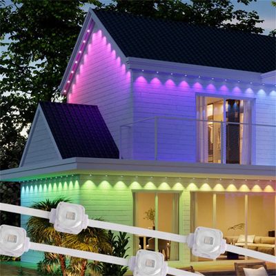 Landscape Point Pixel Led Light Rgb Outdoor Holiday Decoration 12v Dot Led Permanent Christmas Light