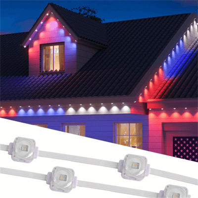 Holiday Christmas Outdoor 25MM 1.5W Waterproof Permanent Outdoor Lights Rgb Permanent Outdoor Rgb Eaves Light