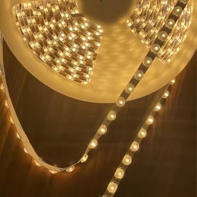 24V 48 Lamp flexible outdoor decoration LED flexible light for your unique design and private information protection
