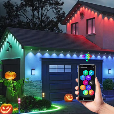 Christmas Colorful LED Eaves Light Decorations Waterproof IP67 Plastic Body LED Light RGBW Control