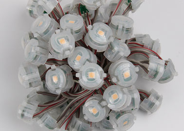 في الهواء الطلق DC12V 20MM سمد 5050 IP67 ليد بكسل أضواء عيد الميلاد 2000mcd