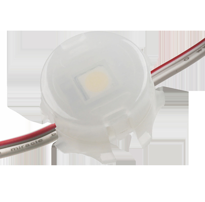 لون واحد SMD 5050 LED نقطة ضوء مقاوم للماء IP67 0.3W 12V 20mm حسب الطلب