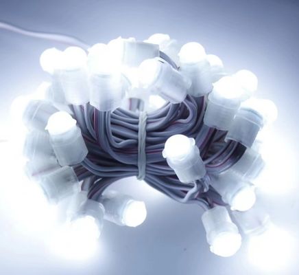 ضوء LED أبيض مضاد للماء في الخارج 50 LEDs DC 12V 9mm Led Pixel String Light