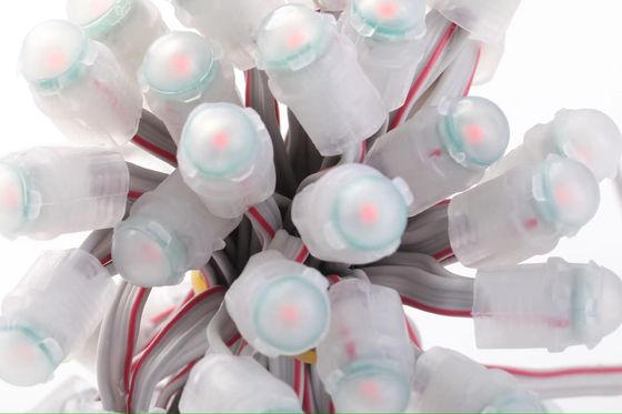 DC12V 0.2W Waterproof IP67 Single Color 9mm LED Exposed Light String For Outdoor Lights