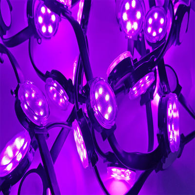 بيع بالجملة 24v 4cm قطر LED Pixel أضواء الكمبيوتر المواد LED عيد الميلاد عطلة RGBW مضاد للماء 1.5W