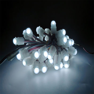 سعر جيد IP67 مضاد للماء LED Pixel Light DC12V 0.2W مع 30000 ساعة العمر الزخرفة الخارجية قابلة للتغيير
