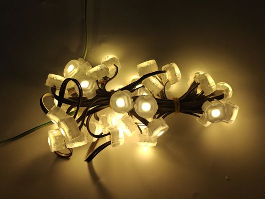 Waterproof Outdoor  PC Body 1W Epistar Chip 20mm RGB LED Point Light