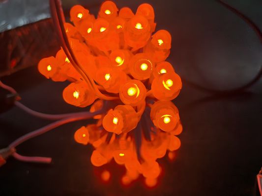 أضواء الكريليك LED خلفية RGBIC DC5V قناديل البحر أضواء عيد الميلاد للزينة الخارجية