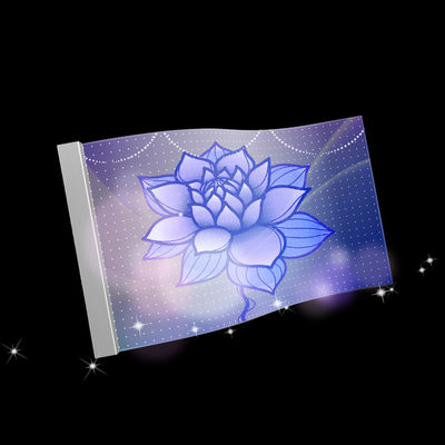 P10 شاشة فيلم شفاف LED مرنة 960mm*240mm مع نوع تركيب معلق
