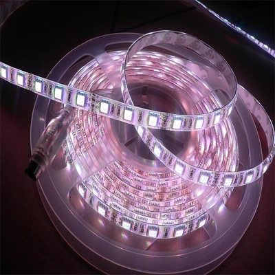 FPC اللوحة المرنة PCB led 5050 RGBW منتجات الإضاءة متعددة الوظائف عالية الوضوح 5000*12*4.0mm DC24V ضوء شريط LED