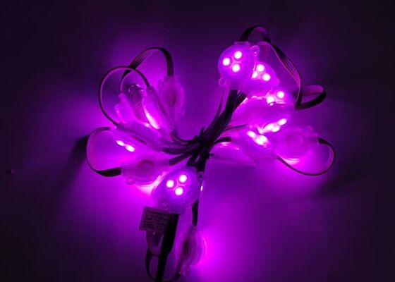 Factory Price Outdoor RGB Led Point Light Full Color 30mm DC12V IP67 Waterproof Led Pixel Lights