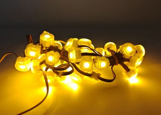 DIY LED Point Light DC 5V IP67 Waterproof with 30,000 Hours Lifespan for Holiday Ambiance & Harsh Weather