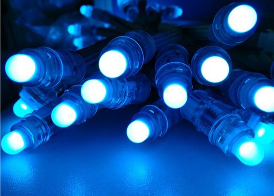 معجزة فول 12 مم Rgb عنونة WS2811 1903 عيد الميلاد بالألوان الكاملة RGB F8 12 مم 5 فولت 12 فولت LED بكسل ضوء من المصنع