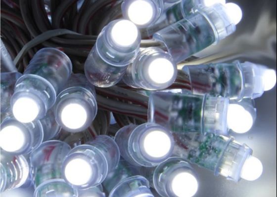 متنزه 12V 5V LED بكسل ضوء 0.3W RGB WS2811 1903 بكسل رقمي لعيد الميلاد