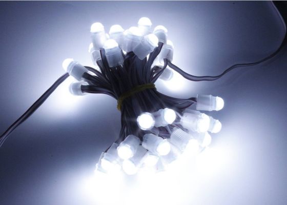 Miracle Bean 0.2w 16lm LED Point Pixel Light 9 مم 12 فولت IP67