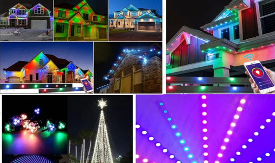 2904 RGBW بقيادة نقطة ضوء IP67 في الهواء الطلق مقاوم للماء 1903 RGB LED ضوء سلسلة